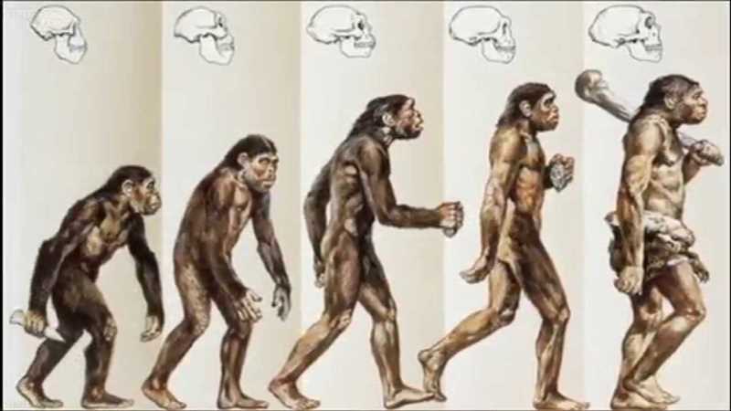 Эволюция не по Дарвину: все алгоритмы Яндекса с 2007 по 2024 год